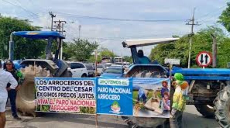 PARO ARROCERO